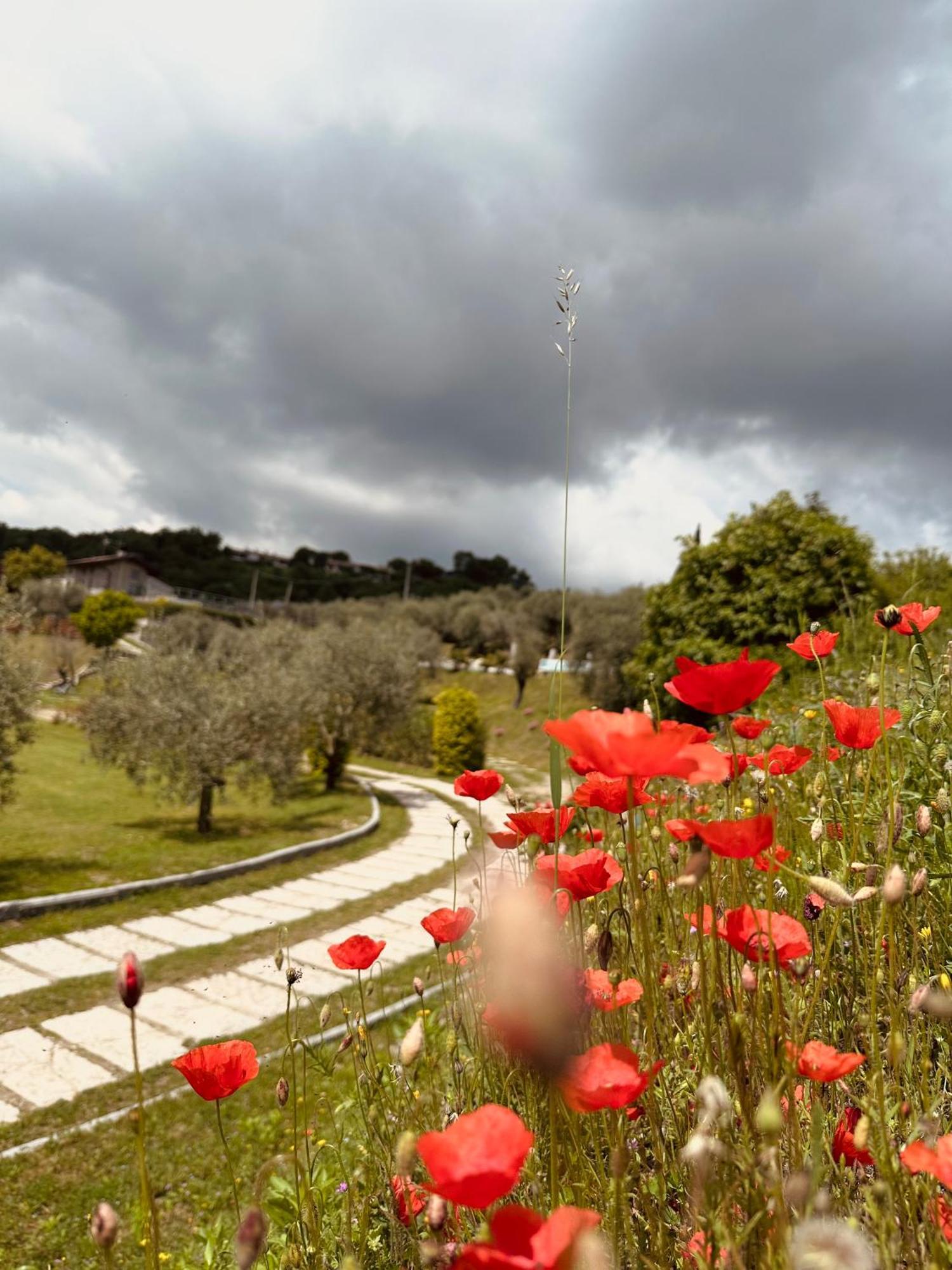 Holiday Home Sovenigo Puegnago sul Garda Exterior foto